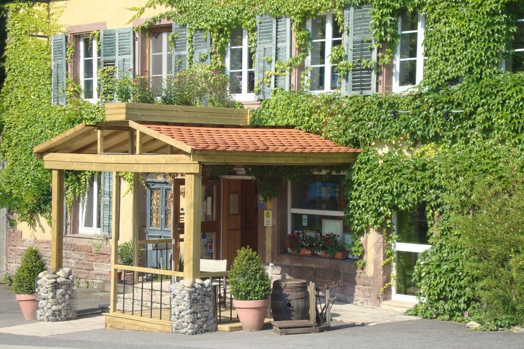Bed and Breakfast Les Grands Frenes Plaine-de-Walsch Экстерьер фото